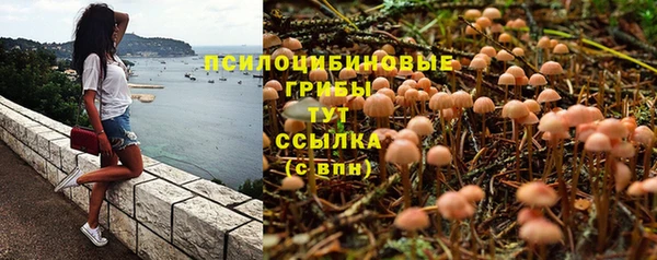 соль курить ск Богородск