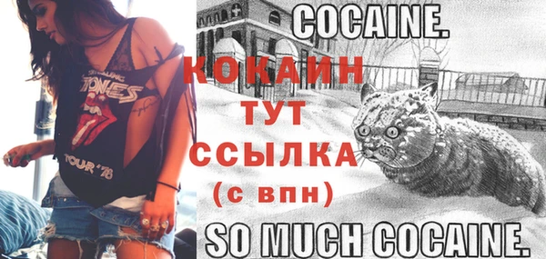 тгк Богородицк