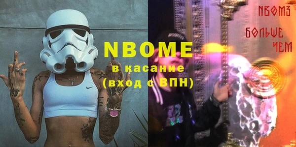 индика Каменногорск