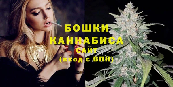 spice Бородино
