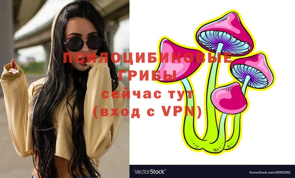 кокаин перу Каменка