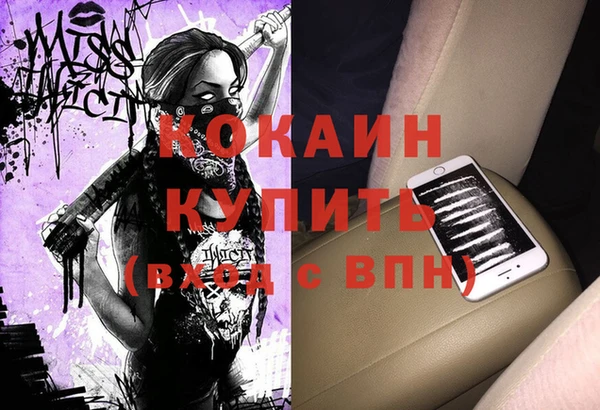 тгк Богородицк