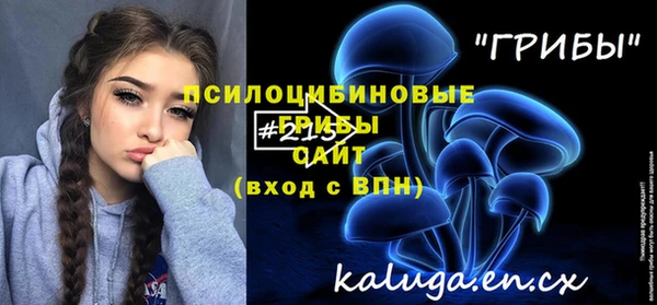 прущий лед Бронницы