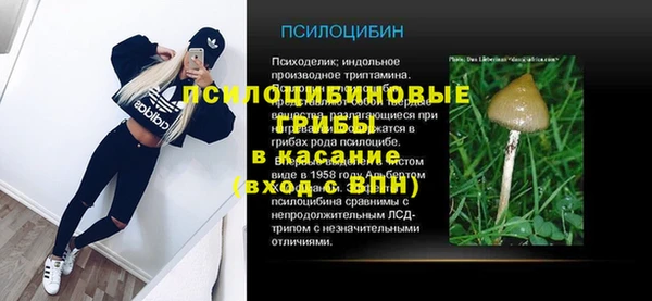 ALPHA PVP Богданович